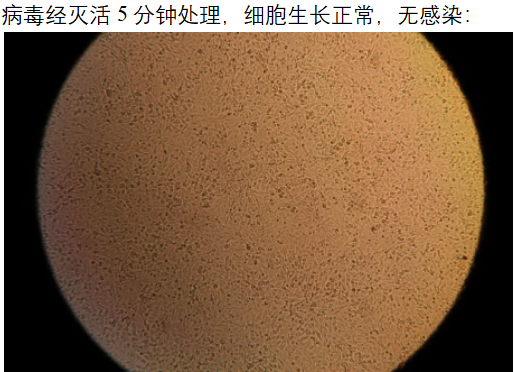 細胞2.png